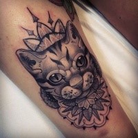 Modern style detailed tattoo of mysterious cat with various floral ornaments
