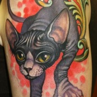 Modern style multicolored shoulder tattoo of Sphinx cat with ladybugs