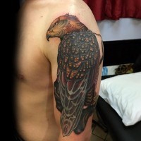 Modern style multicolored shoulder tattoo of steady eagle