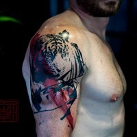 Modern style painted colored shoulder tattoo of tiger