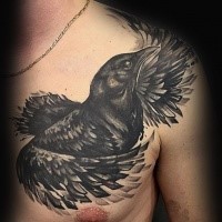 Modern traditional style black ink chest tattoo of typical crow