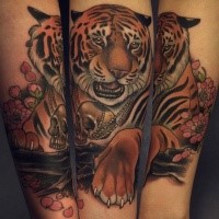 Modern traditional style colored arm tattoo of detailed tiger with flowers and skull