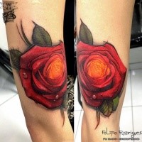 Modern traditional style colored arm tattoo of rose