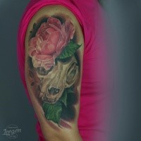 Modern traditional style colored shoulder tattoo of cat skull with flower