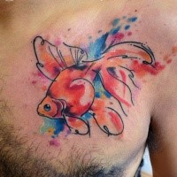 Multicolored swimming golden fish tattoo on chest by Javi Wolf in watercolor style