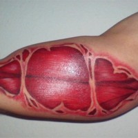 Tatuaje en el brazo,
piel agrietada y músculo debajo de ella