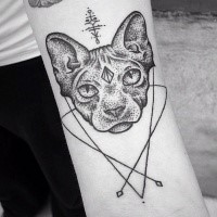 Mysterious dot style arm tattoo of cat head with cult ornaments