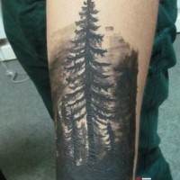 Tatuaje en el antebrazo,
árboles altos oscuros, tinta negra