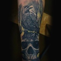 Mystical looking colored arm tattoo of big crow with human skull and dark forest