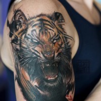 Natürlich aussehender 3D detaillierter dämonischer  brüllender Tiger Tattoo an der Schulter