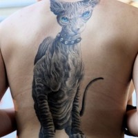 Natürlich aussehendes großes farbiges und detailliertes Tattoo am ganzen Rücken von Sphynx Katze