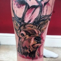 Natural looking big colored deer face tattoo on leg