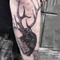 Natürlich aussehendes schwarzes und graues detailliertes Unterarm Tattoo mit Hirsch