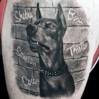 Natürlich aussehendes detailliertes schwarzes und weißes Hund Schulter Tattoo mit Schriftzug