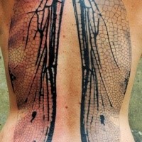 Natural looking black ink whole back tattoo of detailed fly wings