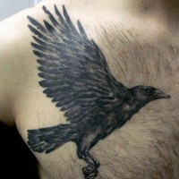 Tatuaje de cuervo simple oscuro  en el pecho