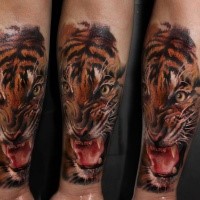 Natural looking colored forearm tattoo of roaring face