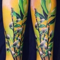 Natural looking colored forearm tattoo of plants