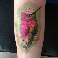 Natural looking colored little pink bird tattoo