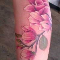 Natural looking colored pink flowers tattoo on leg