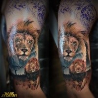 Natural looking colored shoulder tattoo of lion in wildlife