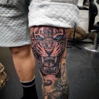 Natural looking colored tiger with blue eyes tattoo on knee