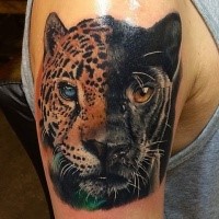 Natural looking illustrative style shoulder tattoo of half black panther with leopard