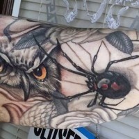Tatuaje en el brazo,
rostro de lechuza y araña venenosa, diseño realista
