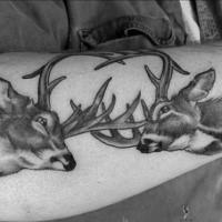 Natural looking realism style black ink forearm tattoo of fighting deers