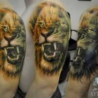 Natural looking realism style shoulder tattoo of roaring lion