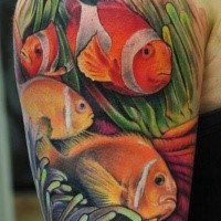 Natürlich aussehendes Schulter Tattoo mit schönen Fischen