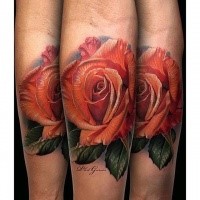 Natural looking very beautiful forearm tattoo of red rose with leaves