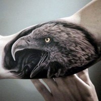 Tatuaje en el antebrazo, rostro de águila impresionante bien dibujado