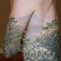 Tatuaje en el brazo y costado,
paisaje fascinante con montañas y árboles