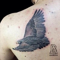 Naturally colored super detailed flying traditional eagle tattoo on shoulder blade in realistic style