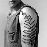 Tatuaje en el brazo, hoja de helecho grande  realista