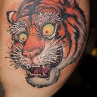 Neo japanese style colored arm tattoo of crazy tiger