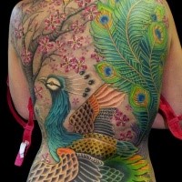 Neo Japanese style large multicolored whole back tattoo of flying peacock and blooming tree