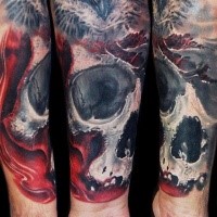 Neo traditional style colored bloody skull with feather