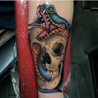 Neo traditional style colored forearm tattoo of snake with human skull