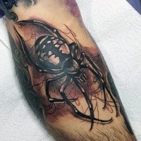 new school illustrative style colored leg tattoo of big spider