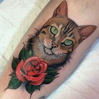 New school style amazing colored cat portrait tattoo on forearm with rose
