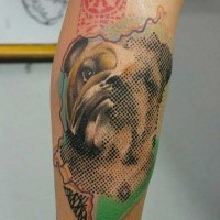 New school style colored arm tattoo of dog portrait with typical symbols