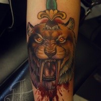 New school style colored arm tattoo of ancient tiger with sword