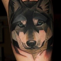 New school style colored beautiful dog face tattoo