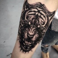 New school style colored forearm tattoo of tiger head
