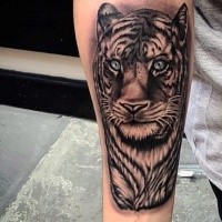 New school style colored forearm tattoo of beautiful tiger