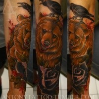 New school style colored forearm tattoo of big bear with crow and rose
