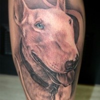 New school style colored leg tattoo of dog portrait