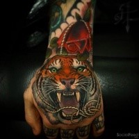 New school style colored roaring tiger with rope tattoo